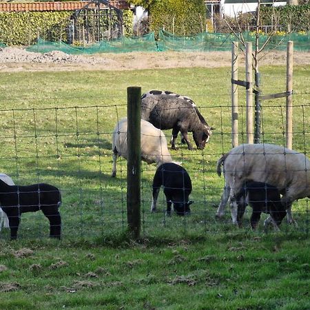 Hemmer Hoeve Εξωτερικό φωτογραφία
