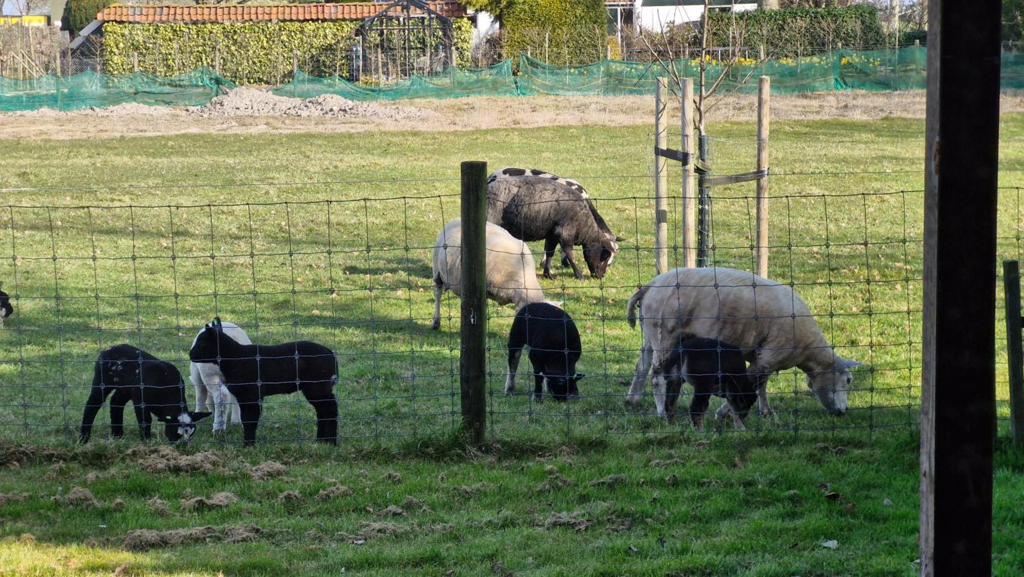 Hemmer Hoeve Εξωτερικό φωτογραφία
